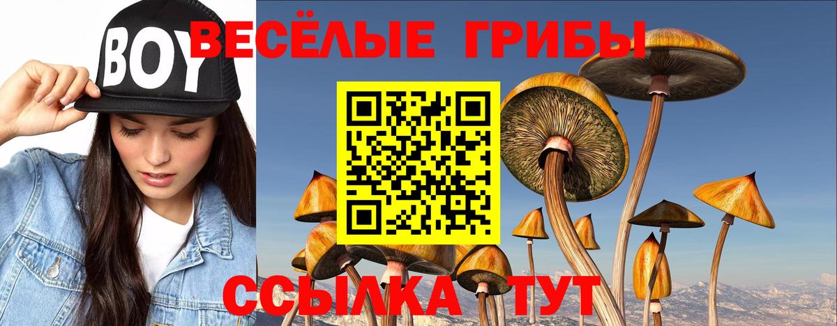 Галлюциногенные грибы MAGIC MUSHROOMS  Вход с VPN  Аксай  Псилоцибиновые грибы мицелий 